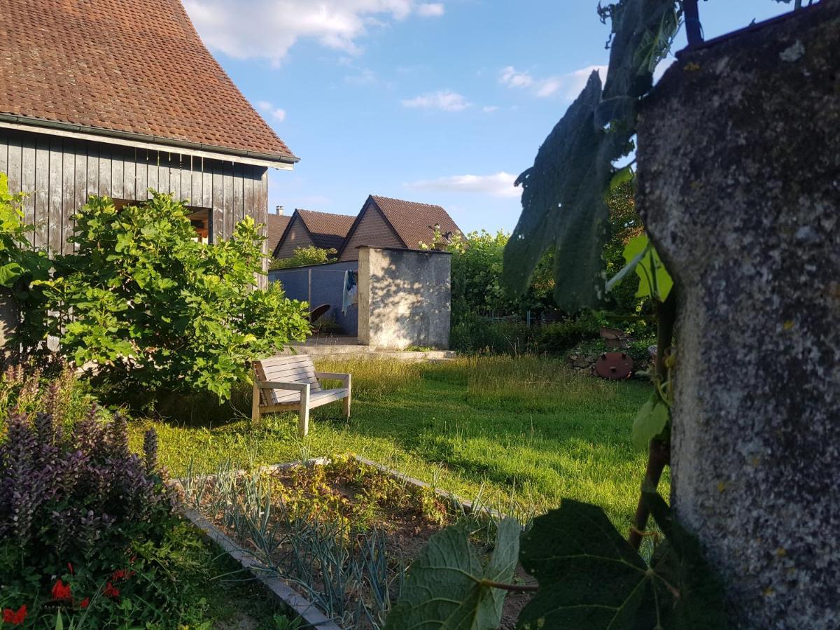 Blue Wall Bnb Gebenstorf Екстериор снимка