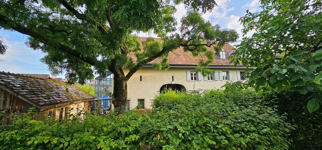 Blue Wall Bnb Gebenstorf Екстериор снимка