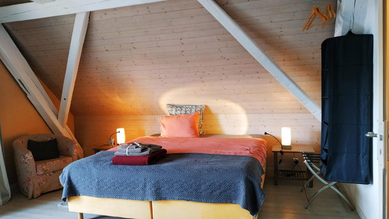 Blue Wall Bnb Gebenstorf Екстериор снимка