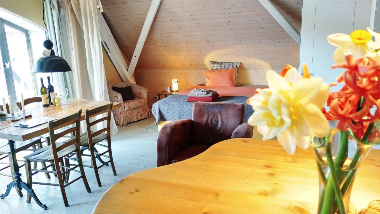 Blue Wall Bnb Gebenstorf Екстериор снимка